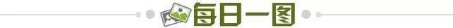 1a991fe6-93ba-467a-83d9-1d3bb29f2e1a.jpg@!img01