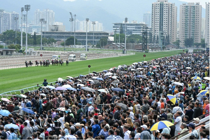 九游体育-连续三年入选香港盛事年表，这场赛马活动为什么能持续火爆|富卫保险|香港赛马会|赛马会|体育|比赛_新浪体育_新浪新闻